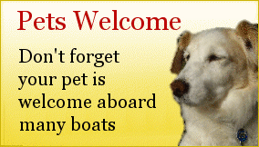 Dogs are welcome on many boats